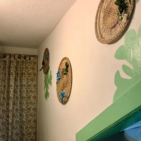 Casa Das Bonecas *